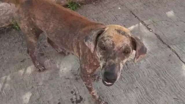 FOTO: Enrique Sabido