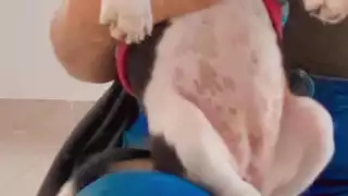 Foto: Facebook Paulina Zapata