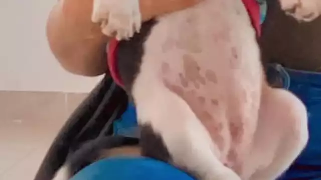 Foto: Facebook Paulina Zapata