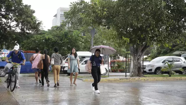 Una de las recomendaciones es no caminar por calles encharcadas