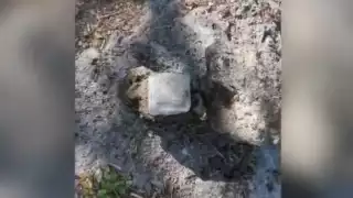 Es común encontrar objetos de todo tipo en los cenotes, los cuales son vistos como basureros al aire libre