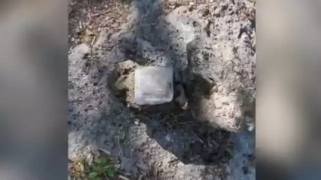 Es común encontrar objetos de todo tipo en los cenotes, los cuales son vistos como basureros al aire libre