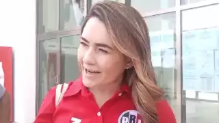     PRI Campeche condena vandalismo y procede legalmente contra militante que hizo grafiti     