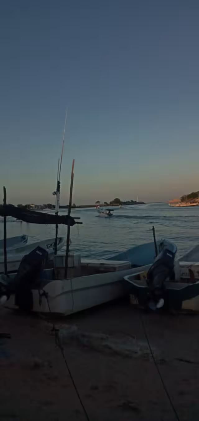 Foto: José López Quintal