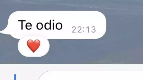 Memes y burlas generó la nueva actualización de WhatsApp