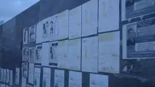 Benito Juárez registra 534 casos de gente se desconoce su paradero; Playa del Carmen, con 204; Othón P. Blanco, 59, y los demás municipios suman 91