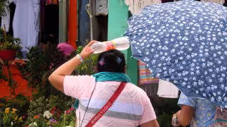 Canícula 2026 llegará a Quintana Roo con calor extremo y sensación térmica superior a los 45 grados