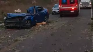 Murió aplastada por un árbol de ceibo de 25 metros de altura
