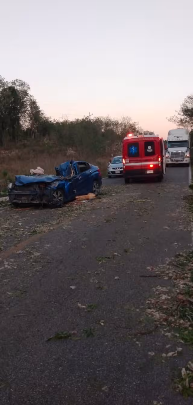 Murió aplastada por un árbol de ceibo de 25 metros de altura