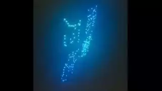 Uno de los organizadores del evento señaló que hasta el momento, no está clara la causa de la lluvia de drones