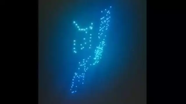 Uno de los organizadores del evento señaló que hasta el momento, no está clara la causa de la lluvia de drones