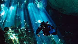 Hallan restos de un mamífero a casi 50 metros de profundidad en una cueva de Abalá, Yucatán