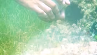 ¿Cementerio bajo el agua entre Cancún e Isla Mujeres? Ciudadanos lo consideran costoso y poco práctico