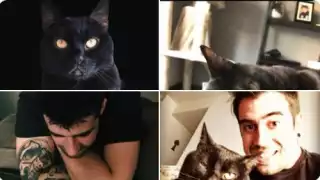 Seguidores de Auron hacen tendencia el fallecimiento de su mascota