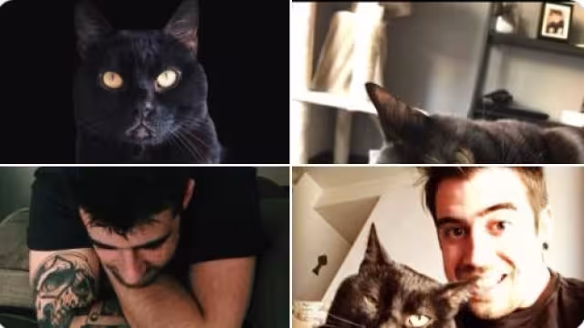 Seguidores de Auron hacen tendencia el fallecimiento de su mascota