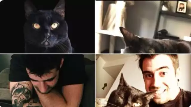 Seguidores de Auron hacen tendencia el fallecimiento de su mascota