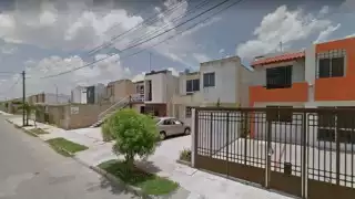 Aunque se ha reportado el robo a perros en diferentes puntos de Mérida, no hay detenidos