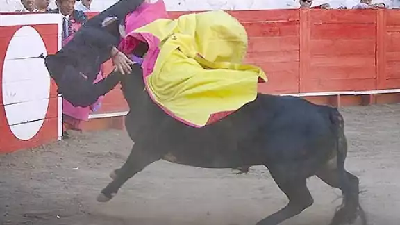 El matador fue revolcado y corneado en par de ocasiones por el astado de la ganadería de San Pablo El matador fue revolcado y corneado en par de ocasiones por el astado de la ganadería de San Pablo