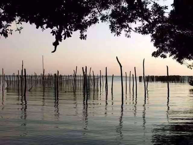 Un pescador conocido como El Indio, del ejido Las Maravillas en Centenario, Escárcega, falleció ahogado en la laguna de la comunidad.