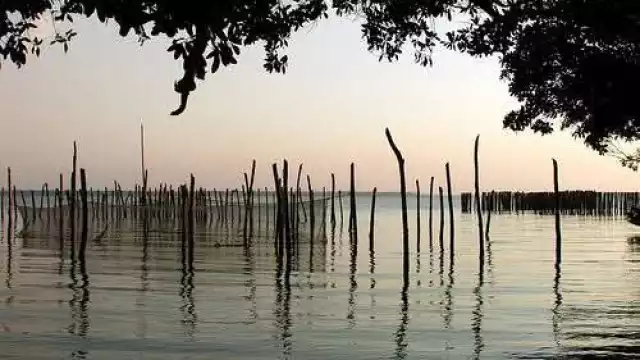 Un pescador conocido como El Indio, del ejido Las Maravillas en Centenario, Escárcega, falleció ahogado en la laguna de la comunidad.