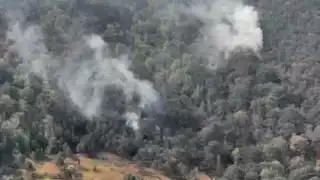 El incendio forestal ha acabado con cientos de hectáreas