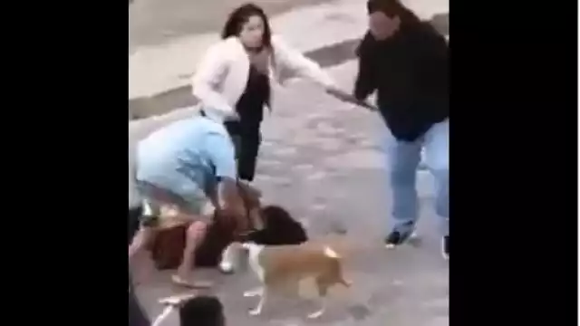 Los agredidos intentan defenderse, sin embargo otra mujer, arremete contra ellos amenazándolos con un machete