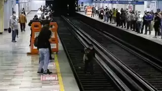 El perrito llegó a las vías, luego de que se le soltó a su dueña. Foto:Captura de pantalla