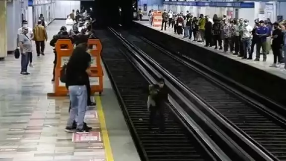 El perrito llegó a las vías, luego de que se le soltó a su dueña. Foto:Captura de pantalla El perrito llegó a las vías, luego de que se le soltó a su dueña. Foto:Captura de pantalla