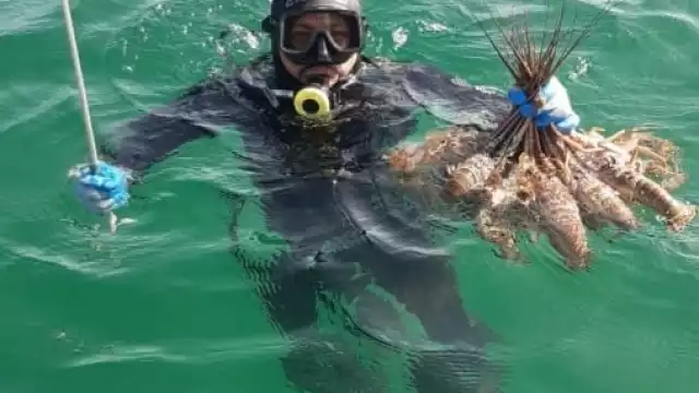 450 pescadores que salen todos los días en busca del crustáceo