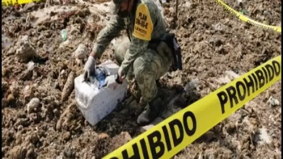 Ya son 143 kilos de droga que han encontrado y puestos a disposición ante la autoridad correspondiente