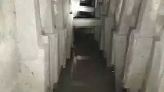 Foto: @Tamaulipasrtc1