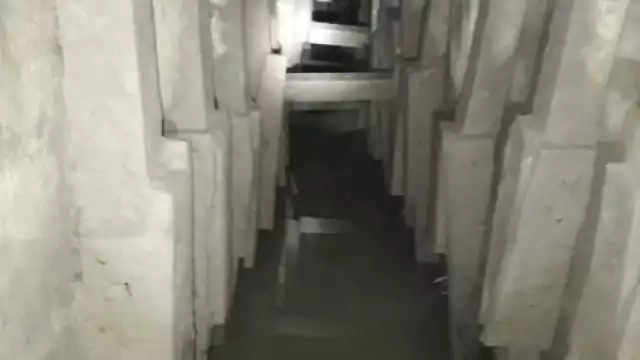 Foto: @Tamaulipasrtc1