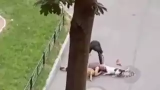 Hombre cubre con su cuerpo a su perro del ataque de dos american terrier: VIDEO