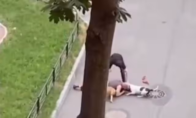El heroico acto del hombre le salvó la vida a su mascota
