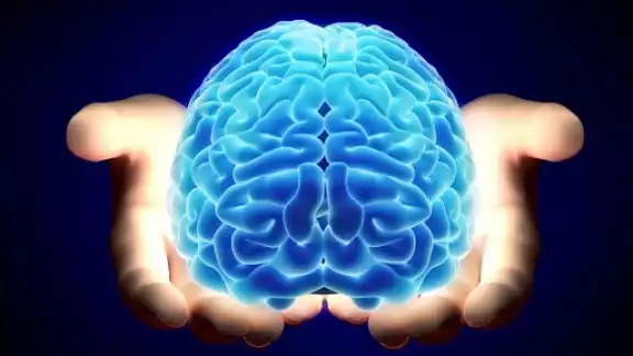 Por su gran importancia, la Federación Mundial de Neurología, puso su granito de arena para que se le diera una celebración especial Por su gran importancia, la Federación Mundial de Neurología, puso su granito de arena para que se le diera una celebración especial