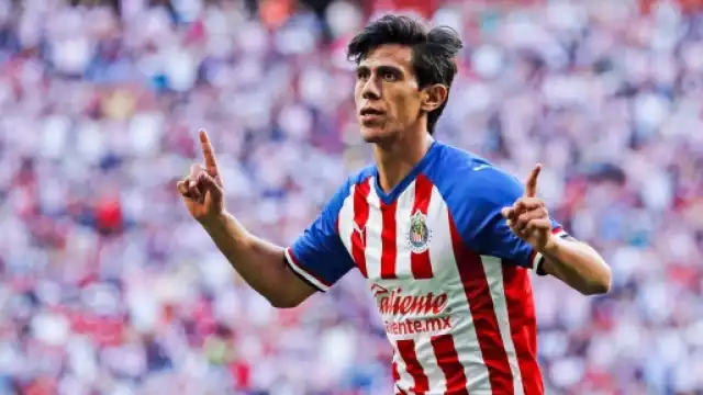 Las chivas siempre visten de blanco y rojo