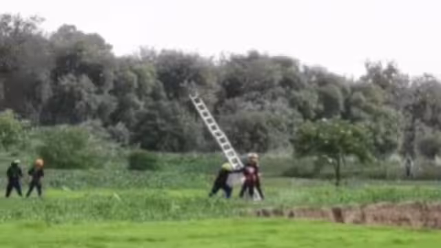 Rescatistas intentan sacar a los perros