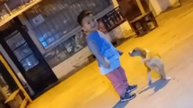 El niño conmovió a varios en TikTok