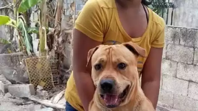 La menor murió por las severas heridas producidas por el ataque