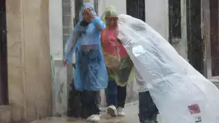   Onda Tropical 22: Así afectará en la Península de Yucatán  