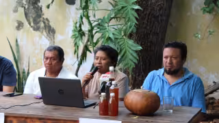Defensores del territorio exigen frenar la criminalización en Yucatán; anuncian movilización el 9 de agosto