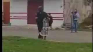 Enjambre de abejas africanas ataca a pobladores de colonia Centro en Chetumal