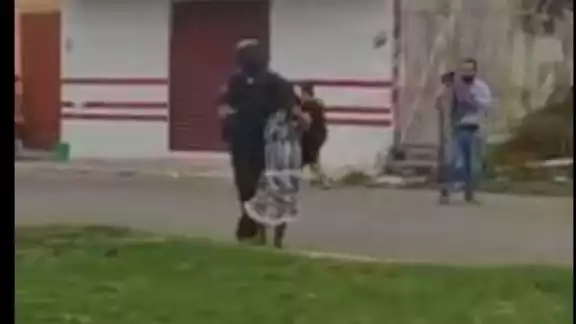 Elementos de la Policía Quintana Roo auxiliaron y evacuaron de la zona a varias personas que estaban siendo picadas Elementos de la Policía Quintana Roo auxiliaron y evacuaron de la zona a varias personas que estaban siendo picadas