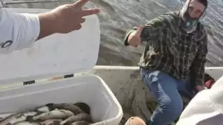 El estero se debe de cuidar, ya que es uno de los principales atractivos turísticos de la región de Sabancuy