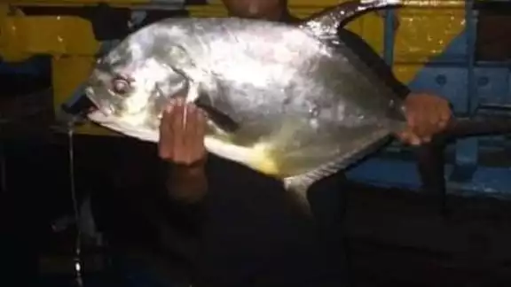 Elemento de la SEMAR, distribuye en sus redes sociales la captura de una palometa Elemento de la SEMAR, distribuye en sus redes sociales la captura de una palometa