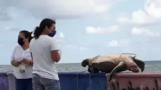 Pescadores comentaron que este tipo de hechos son ocasionales en la isla