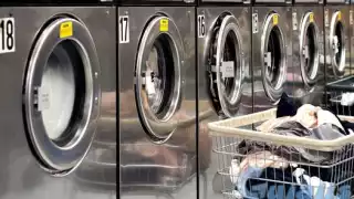 El número de establecimientos de esta rama en Yucatán representa el 2.5 por ciento del total nacional