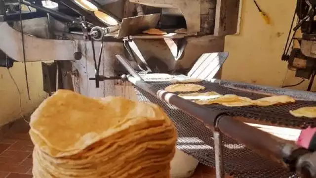 Tortillerías en la cabecera del municipio aseguraron tratar de mantener el precio lo más posible
