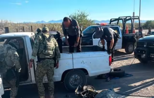 Operativos en 15 estados dejan decomisos relevantes