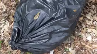 Graban en video el momento justo en el que un individuo arroja bolsas con animales muertos
